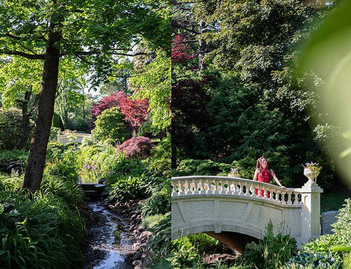 halifax public gardens scenic photo locations instagram