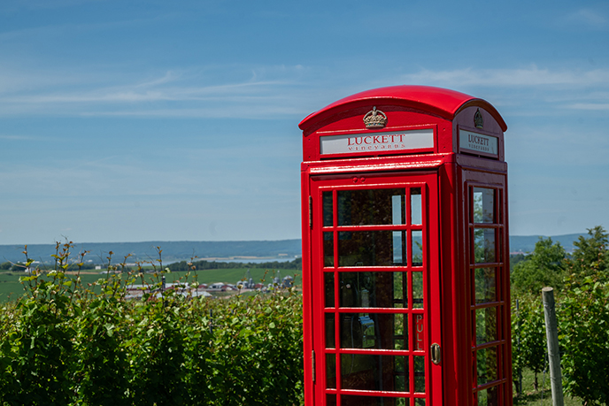 red england photobooth for taking photos Luckett Vineyards - Wines of Gaspereau Valley, Nova Scotia