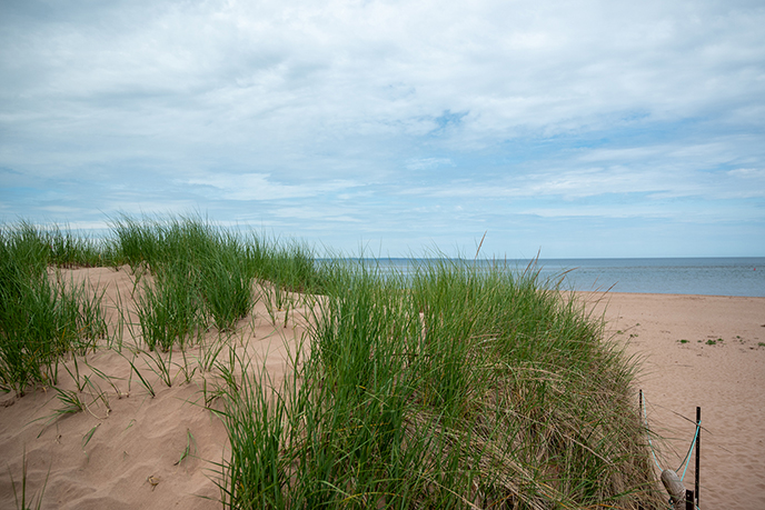 brackley beach pei sand grass ocean scenery