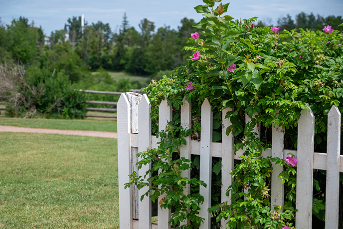 Green Gables Heritage Place parks canada prince edward island sites