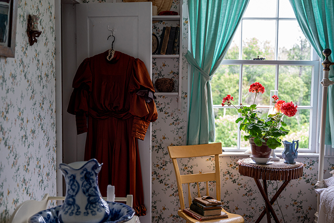 anne of green gables puffy sleeve dress costumes dresses