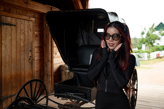 museum anne green gables barn carriage japan fandom