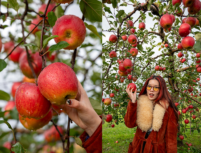 1970s vintage sheepskin coat japan