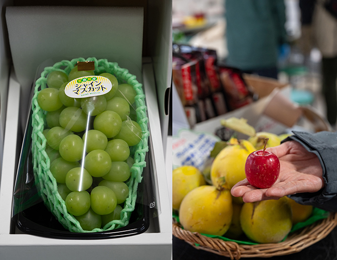 aomori tohoku japan grapes