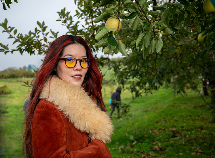 gunnar blue light blocking sunglasses glasses