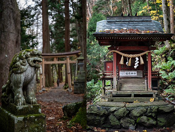 oirase gorge river fall autumn leaves