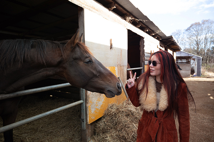 petting horses riding horse farm japan